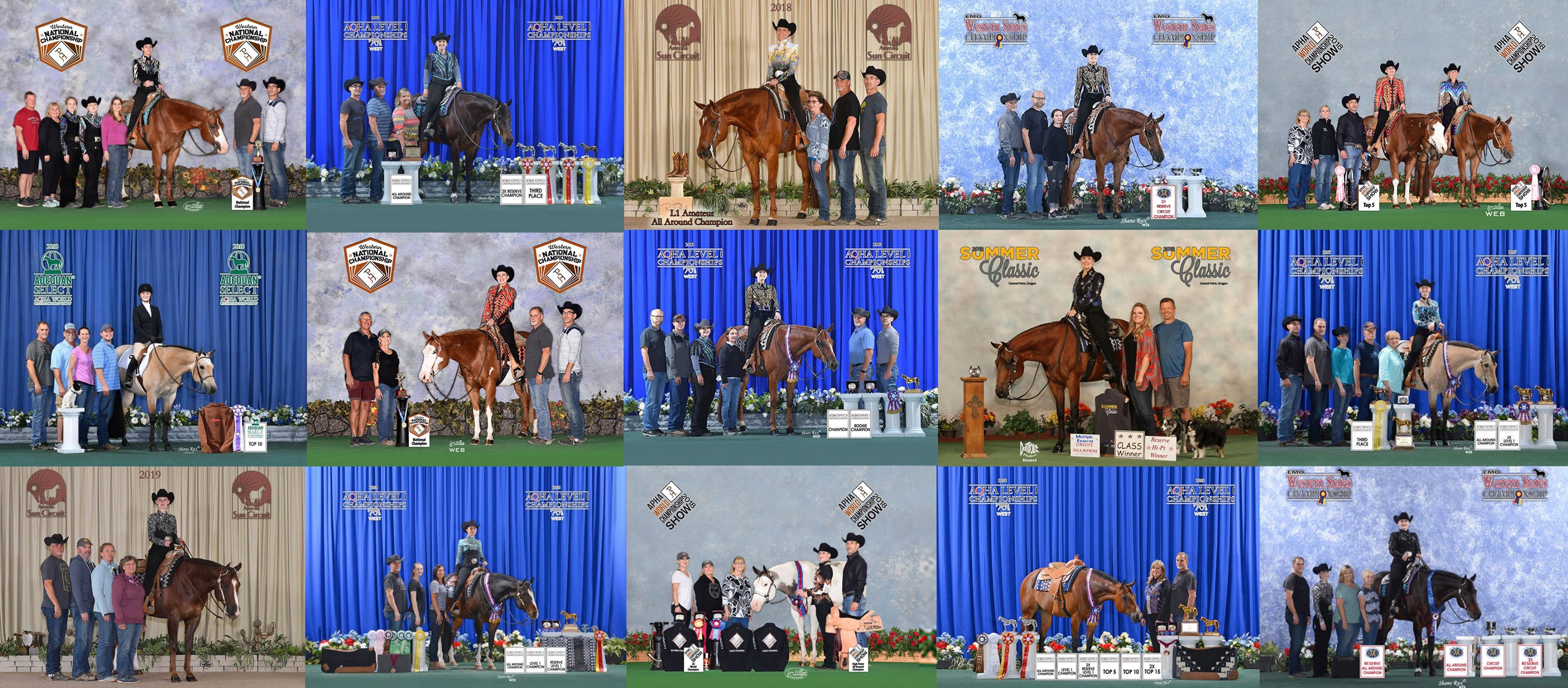 Kip Larson Performance Horses AQHA APHA All Around Horses